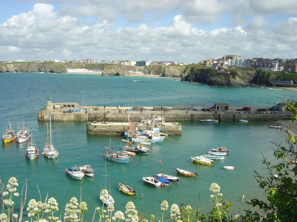 Abreakaway Lodge New Quay Eksteriør bilde